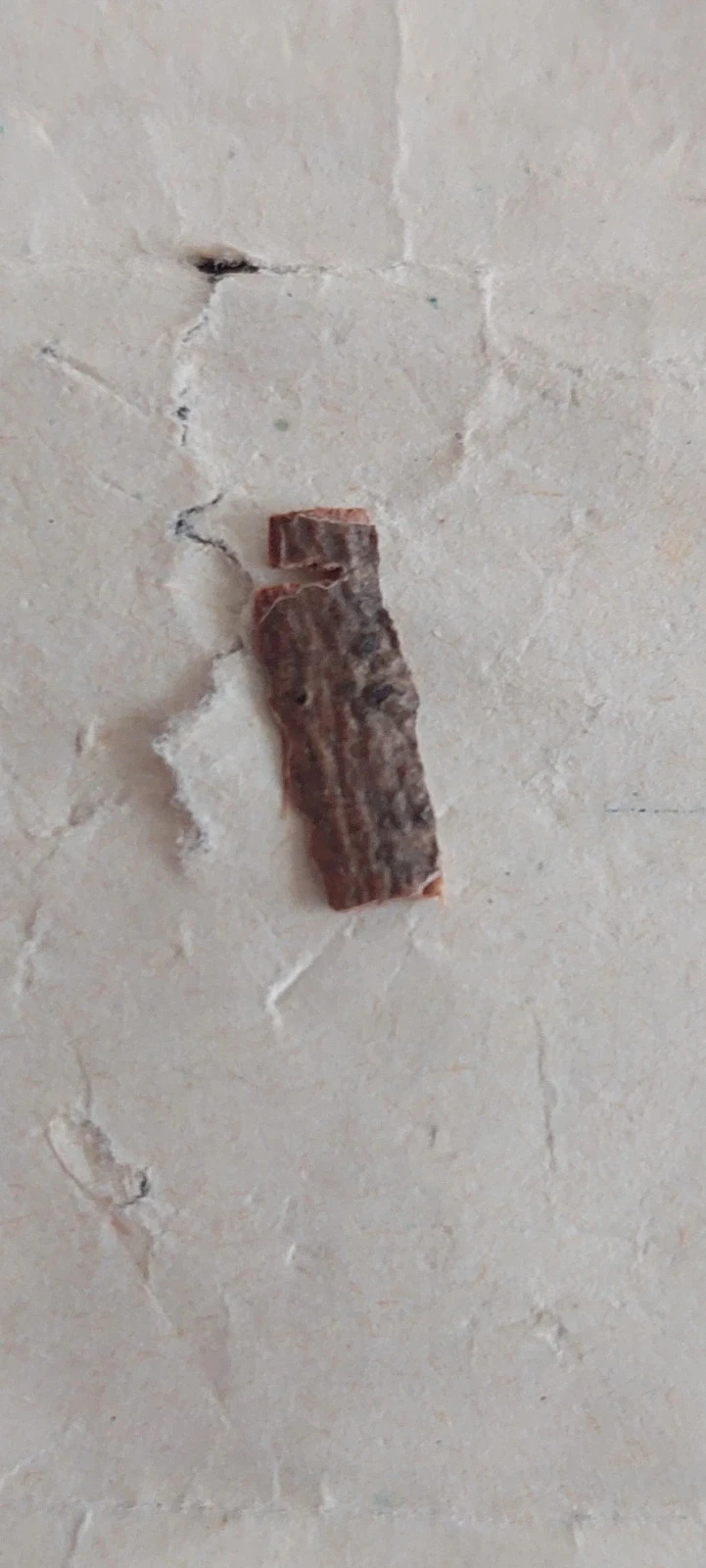 Ancienne relique / souvenir Notre-Dame de Beauraing (1932-1933) – photo 3